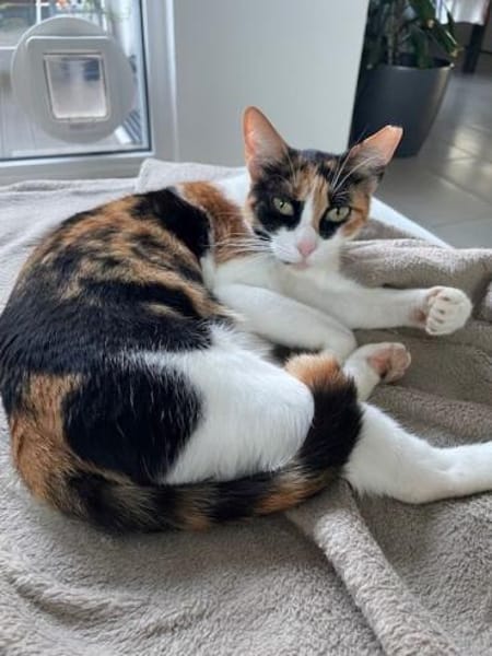 Donna - sehr hübsch, lieb und freundlich