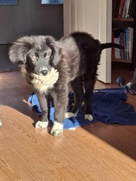 YUMI * menschenbezogener Schatz