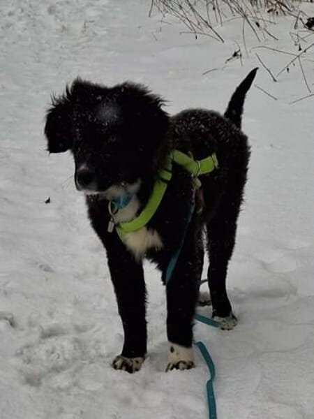 YUMI * menschenbezogener Schatz