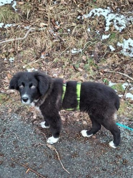 YUMI * menschenbezogener Schatz