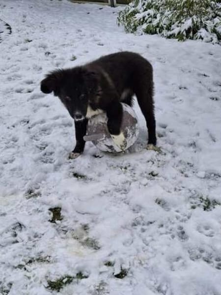 YUMI * menschenbezogener Schatz