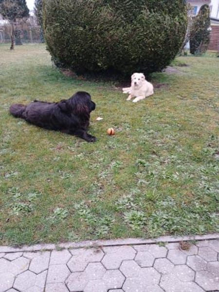 Bildhübsche Effi sucht ihre neue Familie