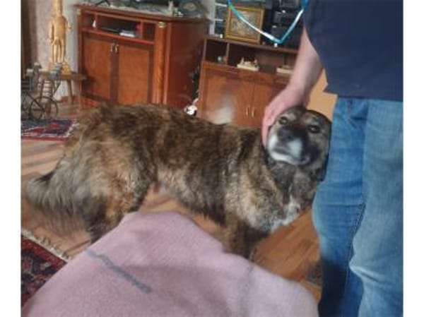 Loumes - wartet in 97714 Oerlenbach