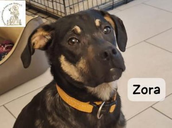 Zora  Vielleicht ist sie genau die, ...