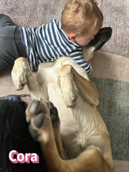 Cora - aktiv und freundlich