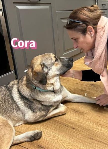 Cora - aktiv und freundlich