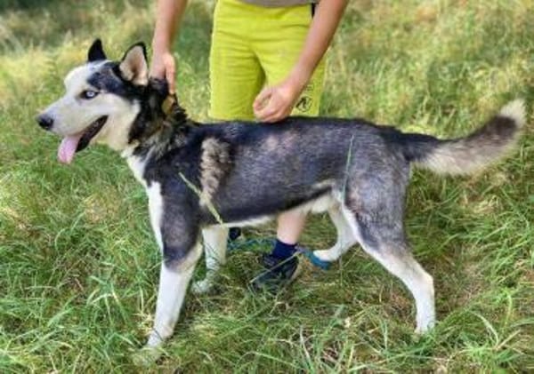 Menschenbezogener NAVARO