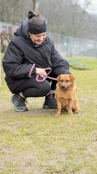 HAKI, Mix, geb. 05/2019