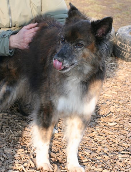 STELLA 🔥 fitte Best Agerin!