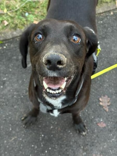 LOU wurde leider Scheidungsopfer
