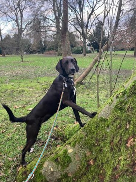 LOU wurde leider Scheidungsopfer