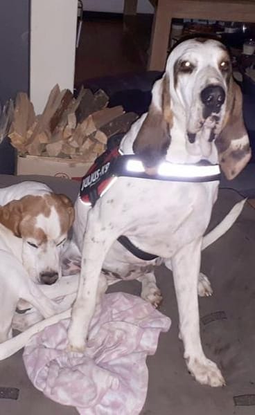 ELISABETH - sehr kapriziös.......