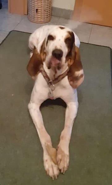 ELISABETH - sehr kapriziös.......