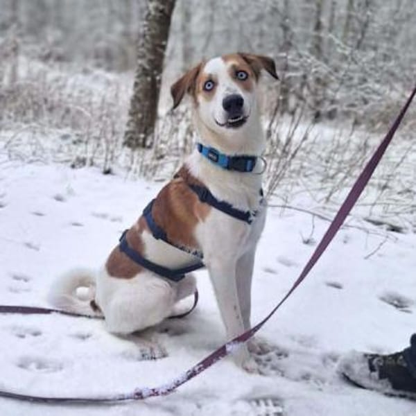 Khany - ist anhänglich&verschmust