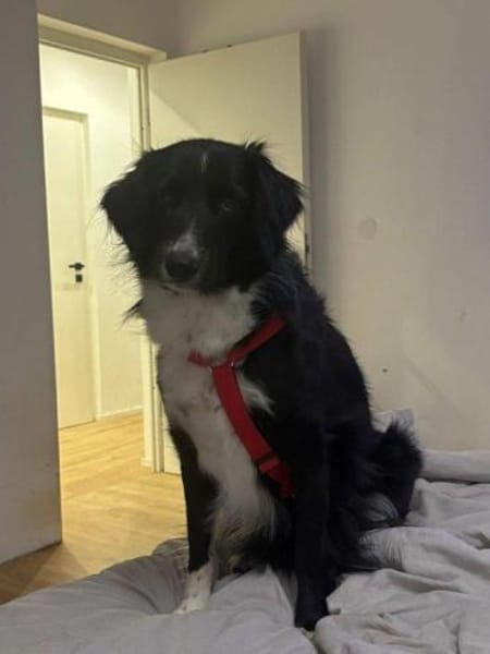 liebe hübsche Tala auf PS in 92685