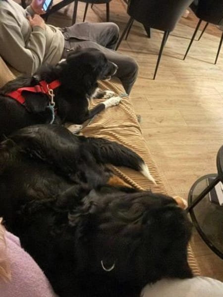 liebe hübsche Tala auf PS in 92685