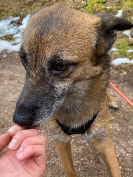 Sportliche NISHA sucht aktive Familie