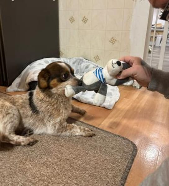 Süßer Yoshi wartet auf Dich