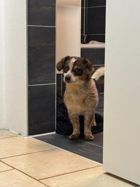 Süßer Yoshi wartet auf Dich