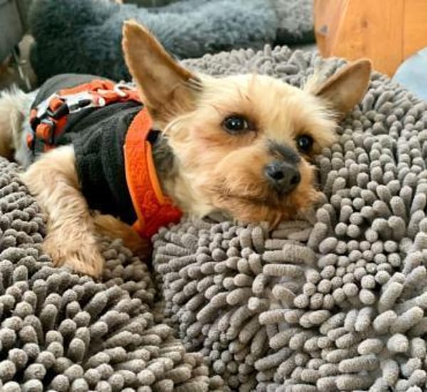 Joana   72664 Kohlberg