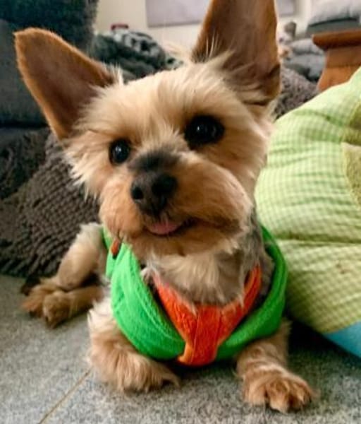 Joana   72664 Kohlberg