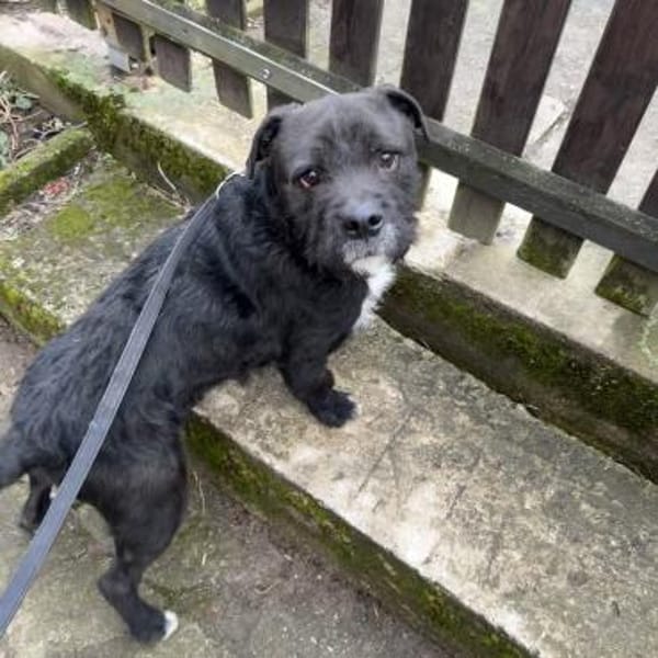 COCO - SUCHT ZUHAUSE