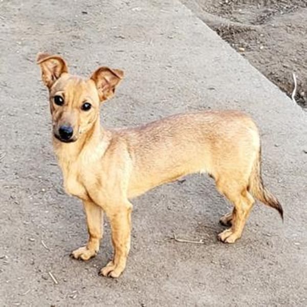 Luna° in 44379 Dortmund