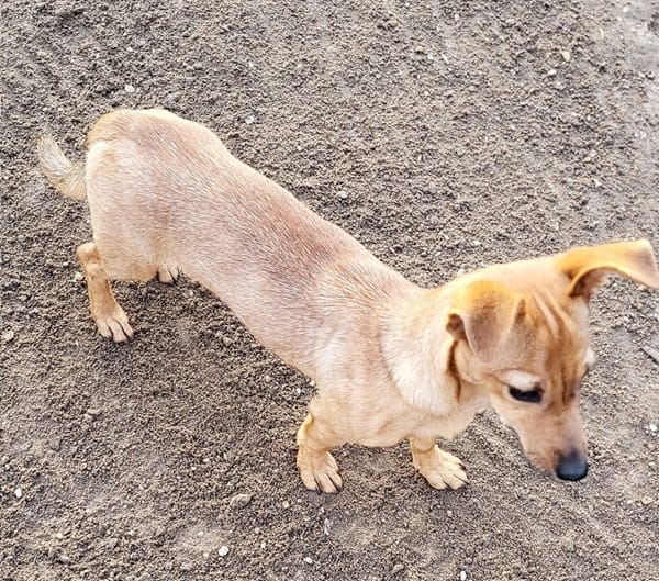 Luna° in 44379 Dortmund