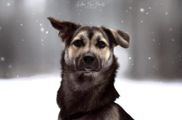 San - Die Feinfühlige