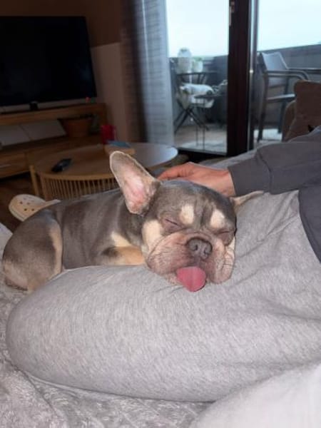 AIDA PP eine liebebedürftige Seele