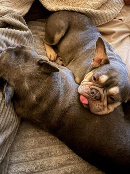 AIDA PP eine liebebedürftige Seele