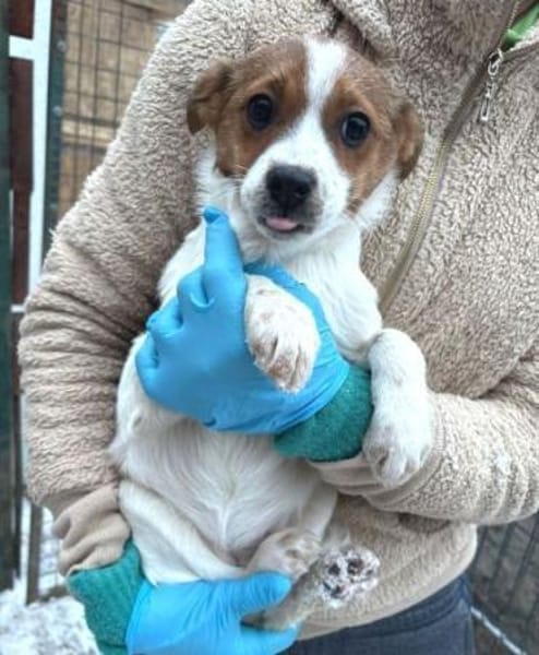 ANGEL braucht Liebe 💘