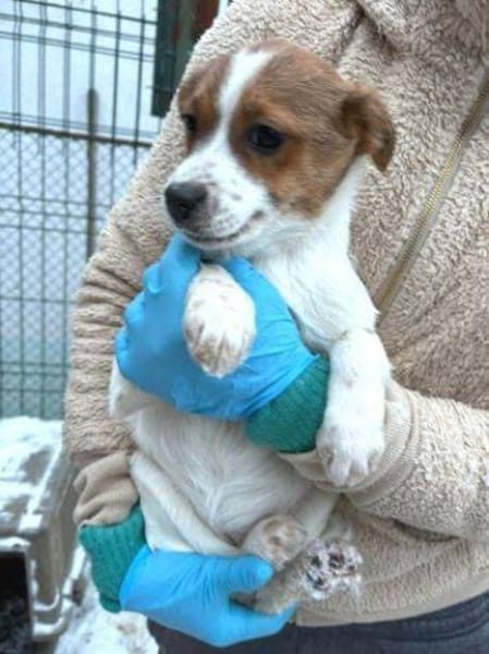 ANGEL braucht Liebe 💘