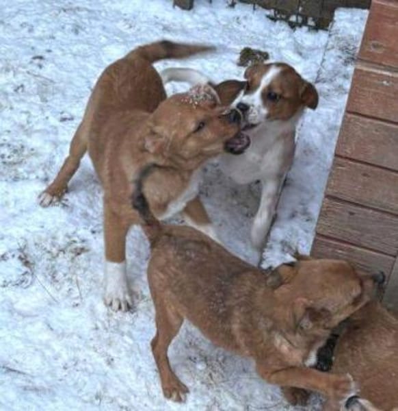 ANGEL braucht Liebe 💘