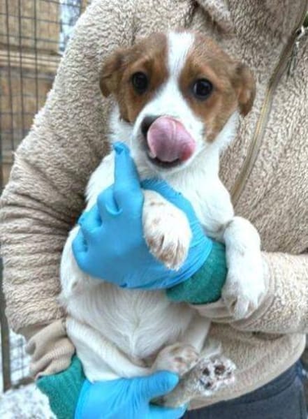 ANGEL braucht Liebe 💘