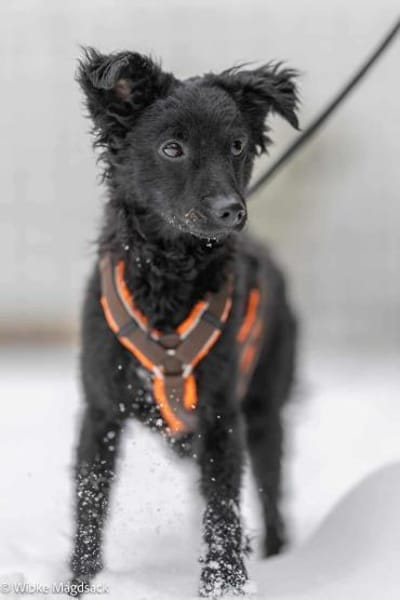 Freche Yuna sucht ihre Menschen