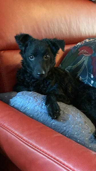 Freche Yuna sucht ihre Menschen