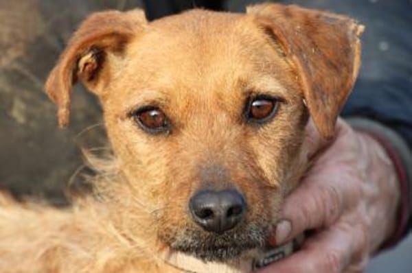 Turia - aufgeweckt u. unkompliziert