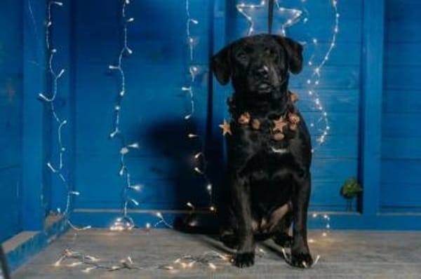 Nayo - das Handicap stört mich nicht