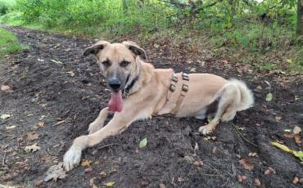 Gibst du Max eine Chance?