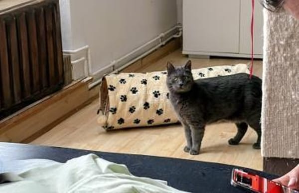 Wunderhübsche Carla 3,5 Jahre