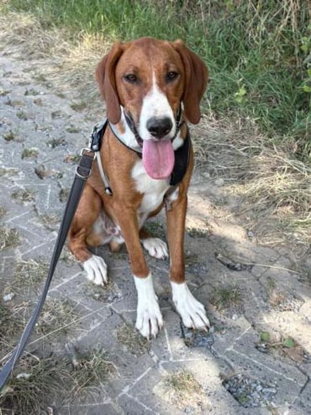 VIKTOR-aktiv, sportlich und lernfreudig!