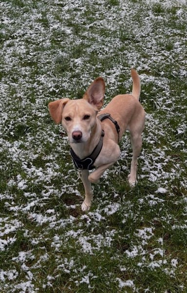 Archie 53859 Niederkassel +81541 München