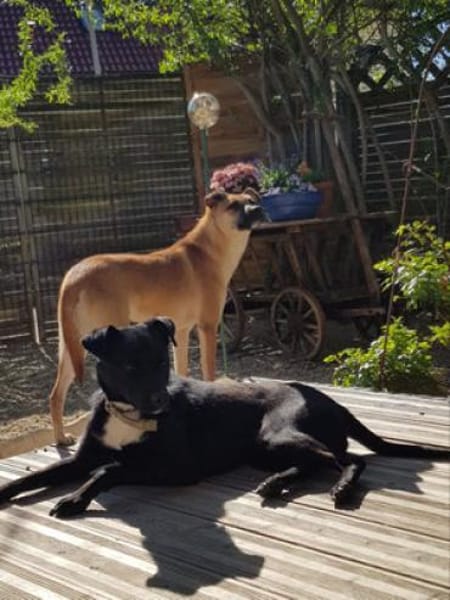 Levi wartet so lange auf sein Happy End