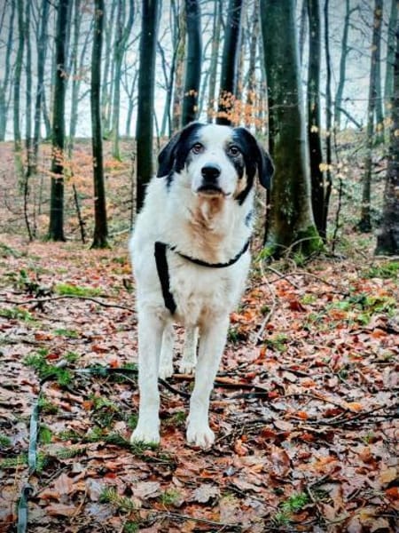 Malte sucht seine ♥-Menschen❣