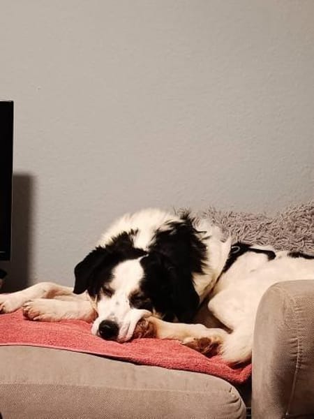 Malte sucht seine ♥-Menschen❣