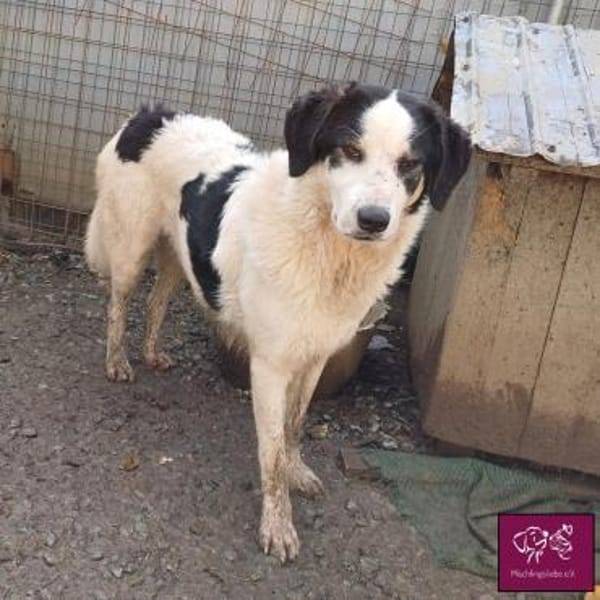 Malte sucht seine ♥-Menschen❣