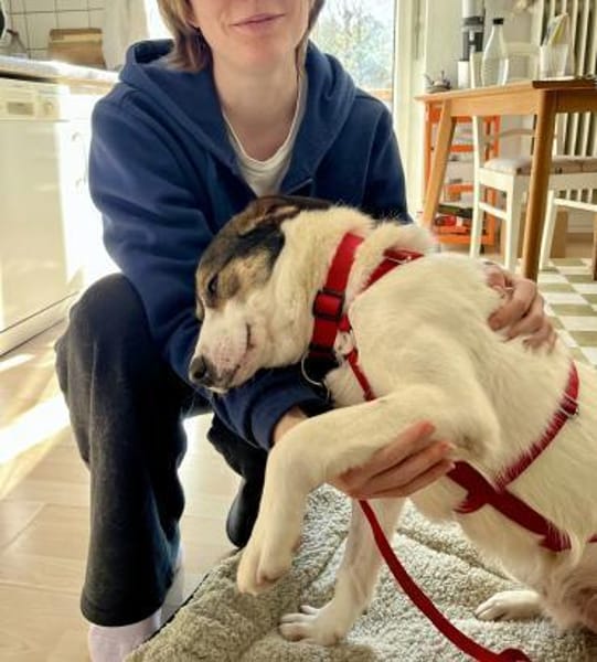 Jampa - süßer Junghund wartet in Köln