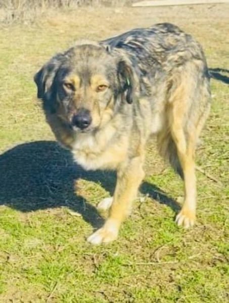 Berry unbeschreiblich lieb