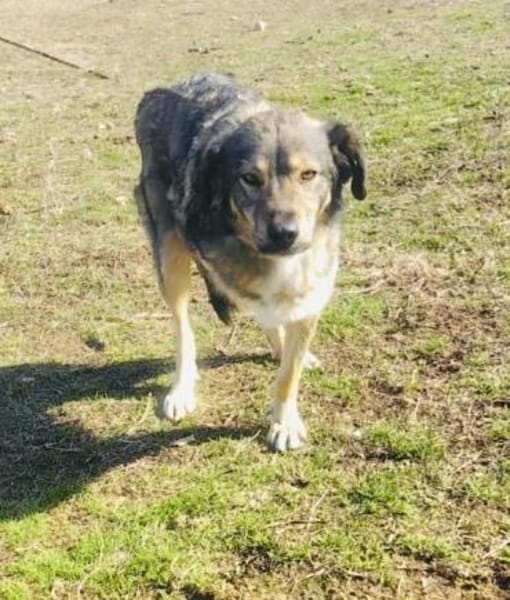 Berry unbeschreiblich lieb